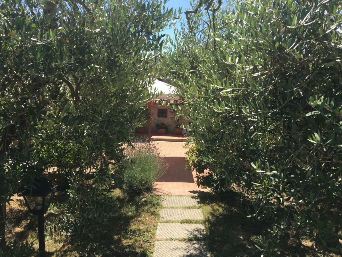 Willa Casa Del Sole Montespertoli Zewnętrze zdjęcie